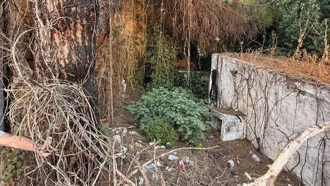 Estado de abandono denunciado por los vecinos en el callej&oacute;n de la calle Sindicalista Luis Cobos