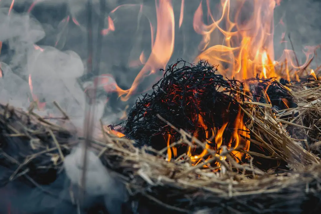 Imagen de archivo de una quema agr&iacute;cola con fuego activo en una zona de vegetaci&oacute;n seca.