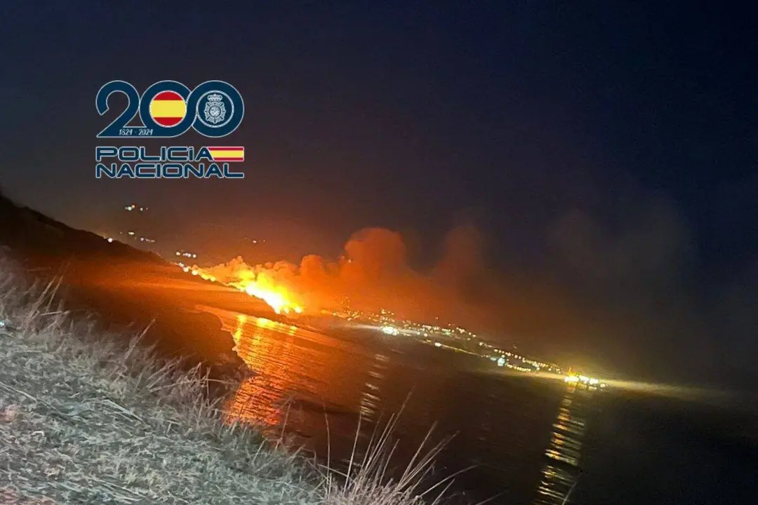 Vista general del &aacute;rea afectada por el incendio registrado en el Parque del Centenario