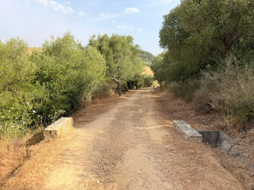 Trabajos de limpieza y desbroce en senderos naturales de Los Barrios