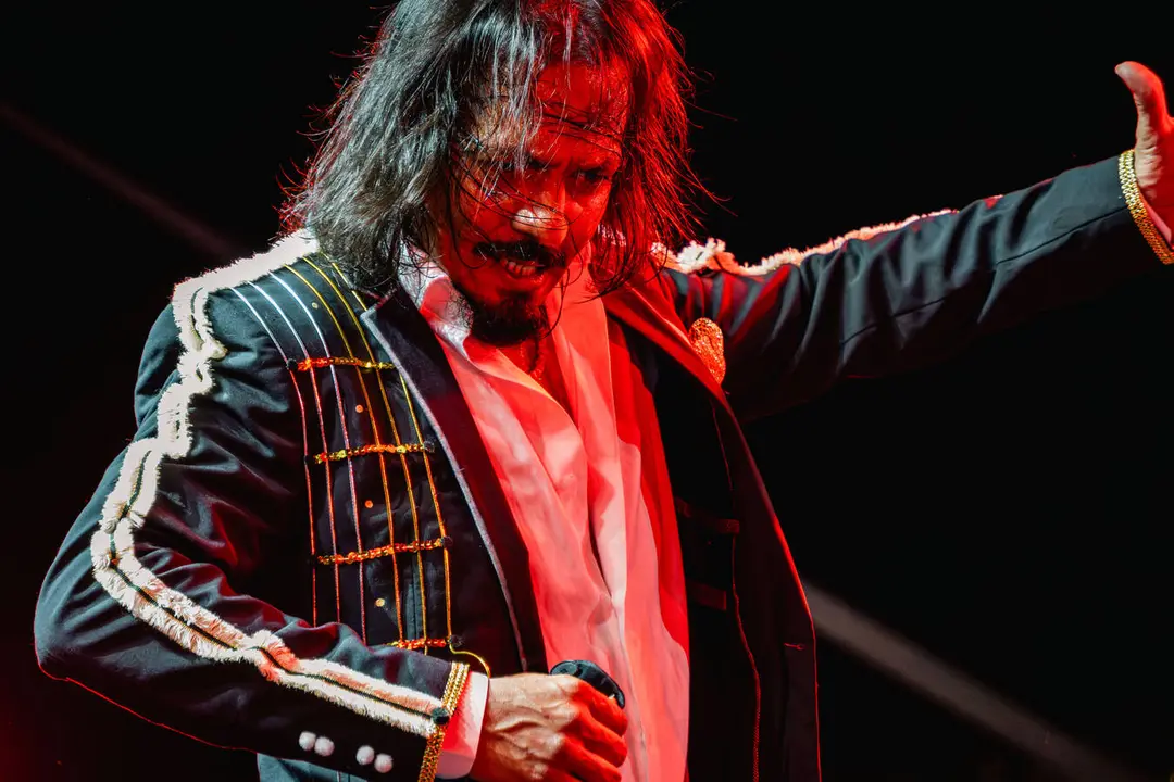Farruquito durante su actuaci&oacute;n en el XII Encuentro Internacional de Guitarra Paco de Luc&iacute;a celebrado en el parque Mar&iacute;a Cristina - FOTO: FJ Ben&iacute;tez