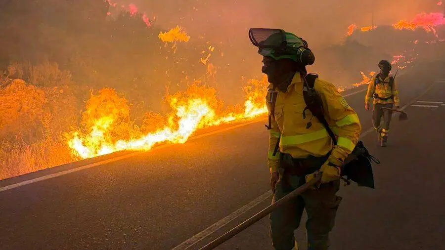 Efectivos de la UME y del Plan INFOCA contin&uacute;an trabajando en la zona afectada por el incendio de Los Gallardos