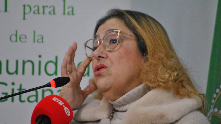 Día del Pueblo Gitano Andaluz, homenaje a Manuel Montoya 9