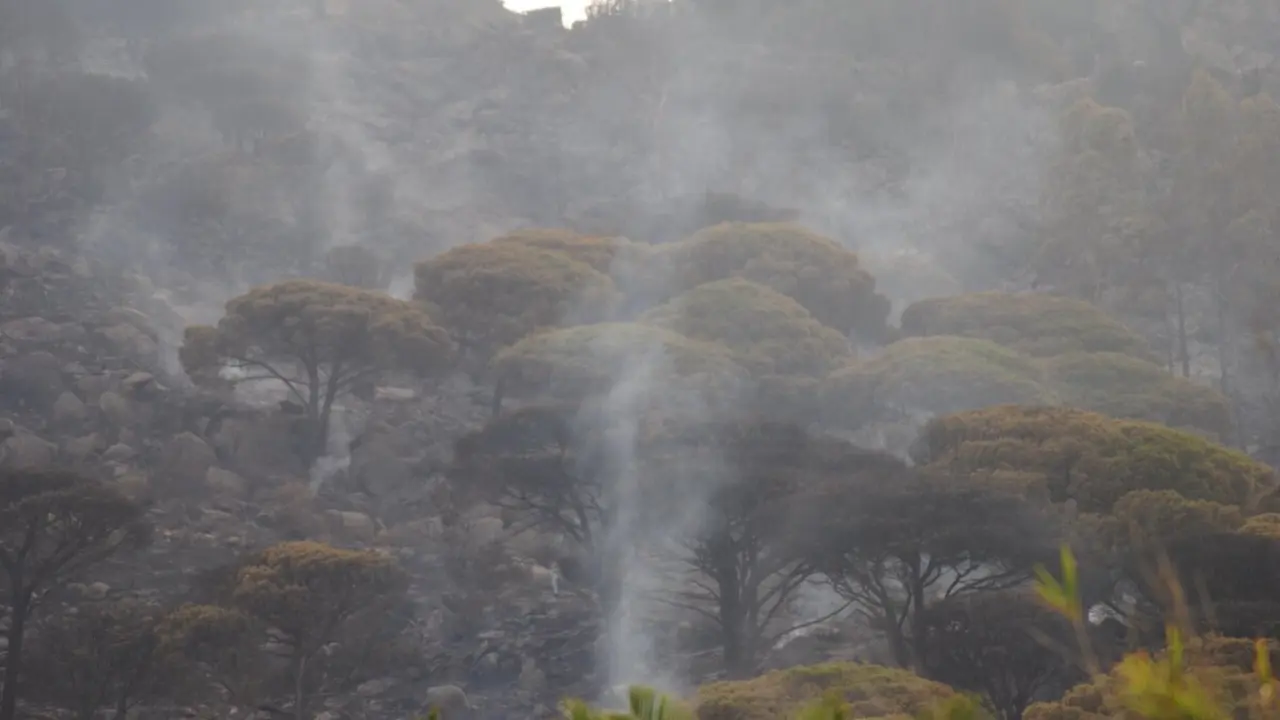 Incendio de Tarifa 4