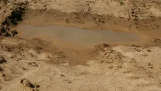 La sequía sigue siendo un grave problema para los ciudadanos del Campo de Gibraltar