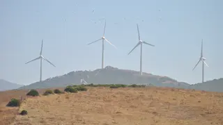 Uno de los muchos parque e&oacute;licos que se ubican en la N-340, donde se ha producido el accidente mortal