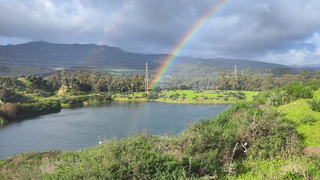 La laguna Huerta de Las Pilas, en Algeciras. FOTO- Biodiversidad Laguna Huerta Las Pilas