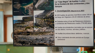 Algunos de los datos sobre el hallazgo desvelados desde la Junta