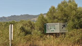 Entre las actuaciones se contemplala la mejora de la accesibilidad entre el Yacimiento de Baelo Claudia y la zona de El Lentiscal