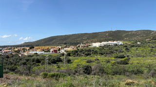 Santa Margarita 