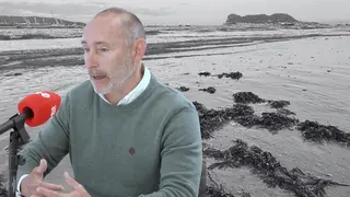Antonio Vegara, una de las voces autorizadas sobre el alga asi&aacute;tica, protagonista de nuestro podcast