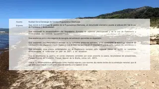 Parte del escrito remitido al Ministerio sobre la estrategia contra el alga asi&aacute;tica