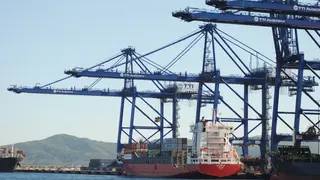 El TTI Algeciras invertir&aacute; m&aacute;s de 150 millones de euros
