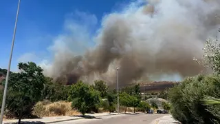 Las llamas se han propagado por el fuerte viento reinante. FOTO - Adrián Pelayo