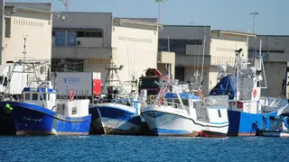 Barcos de pesca, en el puerto de Algeciras 