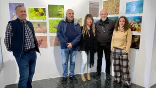 La iniciativa, ha quedado inaugurada en la tercera planta del edificio cultural
