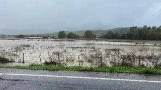 Verdemar alerta del riesgo de inundaciones en la futura planta fotovoltaica &ldquo;La Herradura&rdquo; en Jimena de la Frontera