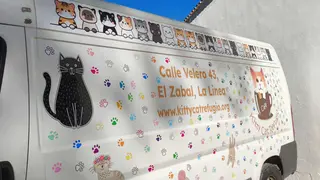Kitty Cat Caf&eacute; es un espacio h&iacute;brido que une cafeter&iacute;a, convivencia con gatos y rescate animal en un mismo lugar - FOTO: Luc&iacute;a Becerra