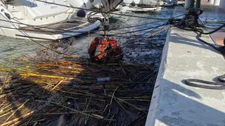 Desde el inicio de las alertas meteorol&oacute;gicas, los equipos de mariner&iacute;a, mantenimiento y seguridad reforzaron la vigilancia y el aseguramiento de las embarcaciones