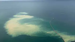 Vertidos en el litoral