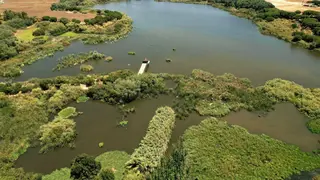 Vista de uno de los humedales restaurados que contribuyen a la conservaci&oacute;n de especies protegidas.