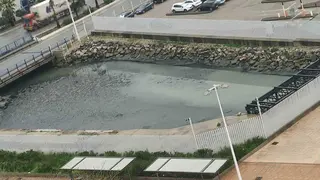 Verdemar advierte de que no se puede responder a las denuncias ambientales con la estrategia del &ldquo;y t&uacute; m&aacute;s&rdquo;
