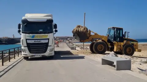 Alga en Tarifa