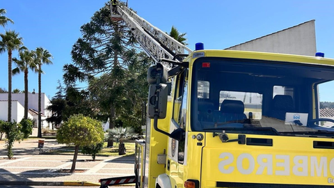 Bomberos proceden a la retirada de piñas. FOTO: Ayuntamiento de Castellar.