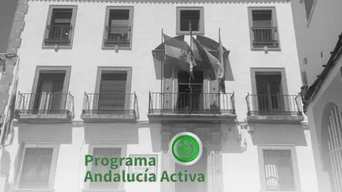 El Ayuntamiento de Los Barrios ha solicitado respaldo a la Junta  a trav&eacute;s del Programa Andaluc&iacute;a Activa.
