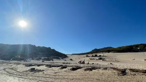 Playa de Bolonia 3