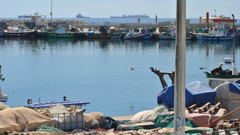 Algunos de los barcos pesqueros que se congregan en el puerto de La Atunara, en La Línea