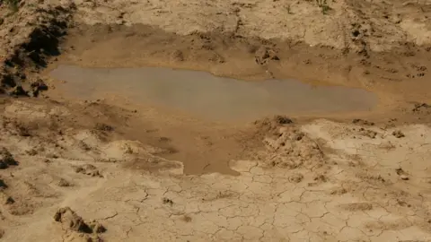 La sequía sigue siendo un grave problema para los ciudadanos del Campo de Gibraltar