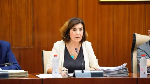 09/10/2024 La consejera de Empleo, Empresa y Trabajo Aut&oacute;nomo, Roc&iacute;o Blanco, en comisi&oacute;n parlamentaria.
POLITICA ESPA&Ntilde;A EUROPA ANDALUC&Iacute;A ECONOMIA
JOAQU&Iacute;N CORCHERO - PARLAMENTO DE ANDALUC&Iacute;A