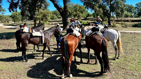 El caballo ha acaparado toda la atención en Castellar durante estos ultimos días