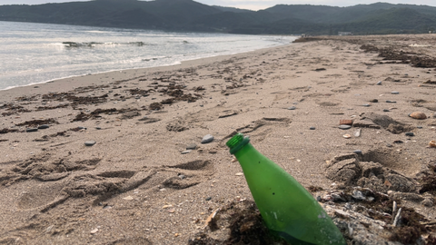 La orilla de Getares el pasado fin de semana, una manta del alga invasora5