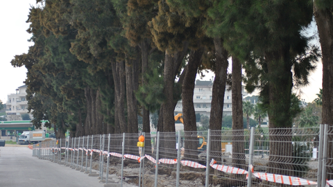 Obras recinto ferial Los Barrios 2