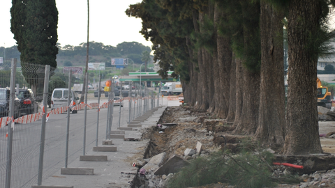 Obras recinto ferial Los Barrios 10