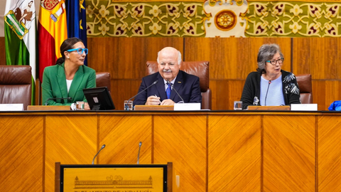 Alumnos de los centros participantes en el pleno infantil, entre ellos 12 de Algeciras.FOTO: Parlamento de Andaluc&iacute;a.