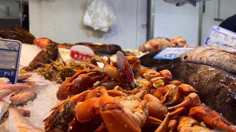 Pescados y mariscos 4