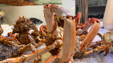 Pescados y mariscos 6