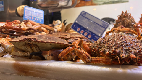 Pescados y mariscos 7