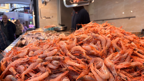 Pescados y mariscos 10