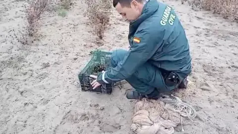 Momento en el que el agente de la Benemérita libera a las aves
