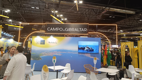 Fitur 2025 2