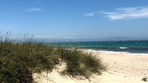 La playa de Los Lances se cobró la vida de este joven de 30 años