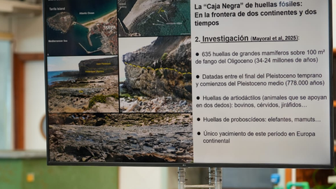 Algunos de los datos sobre el hallazgo desvelados desde la Junta