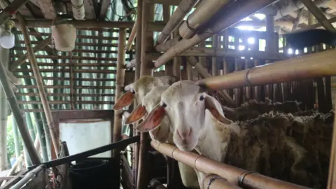 El precio de la carne roja se ha disparo en Marruecos