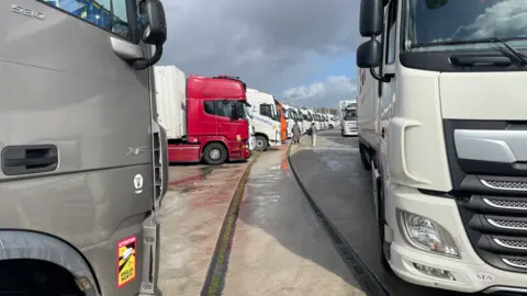 Colapso de camiones en el puerto de Algeciras 17