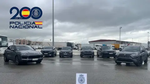 Algunos de los vehículos robados que han sido interceptados en el puerto algecireño