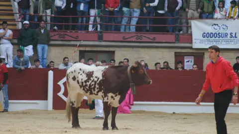 Toro Embolao domingo 1